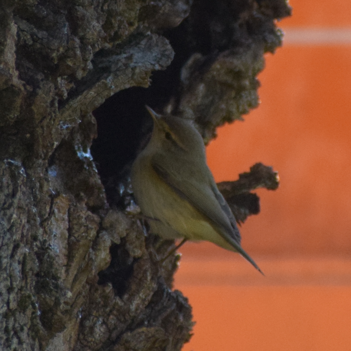 Favourite Nature Photography